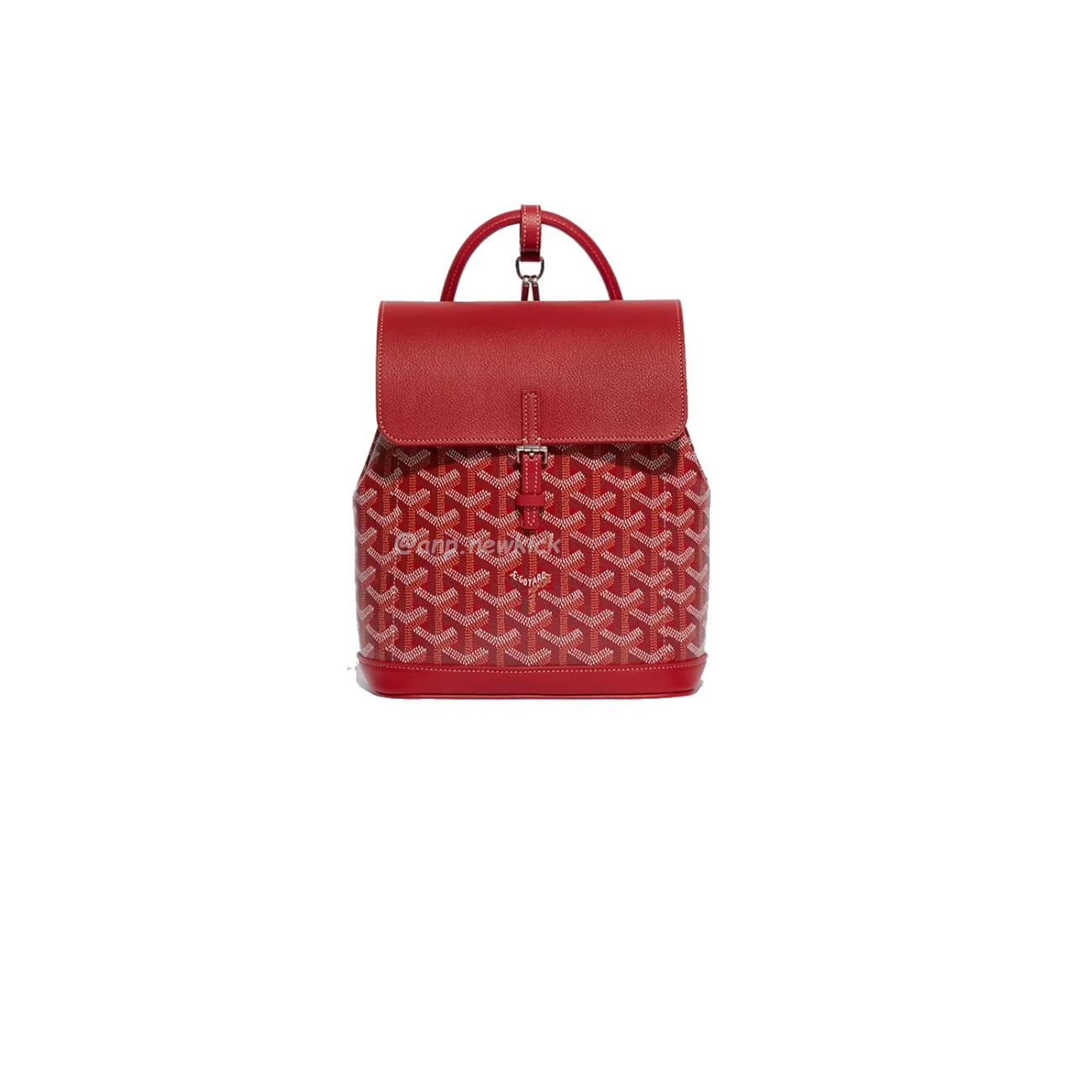 Goyard Alpin Mini Backpack 23 Cm X 9.5 Cm X 19 Cm (5) - newkick.vip